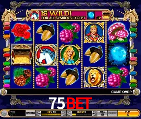 Roulette Table 75bet
